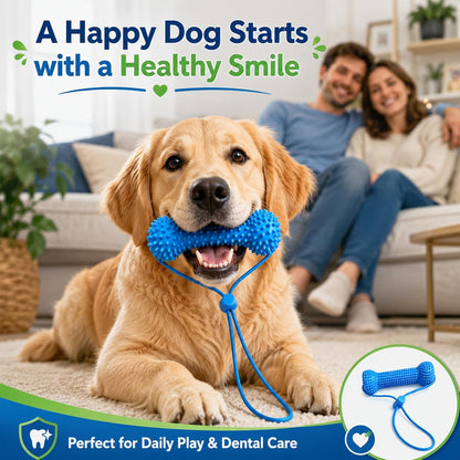 2-in-1 Dog Dental Cleaning Chew Toy & Brushing Aid